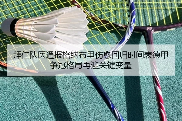 拜仁队医通报格纳布里伤愈回归时间表德甲争冠格局再迎关键变量